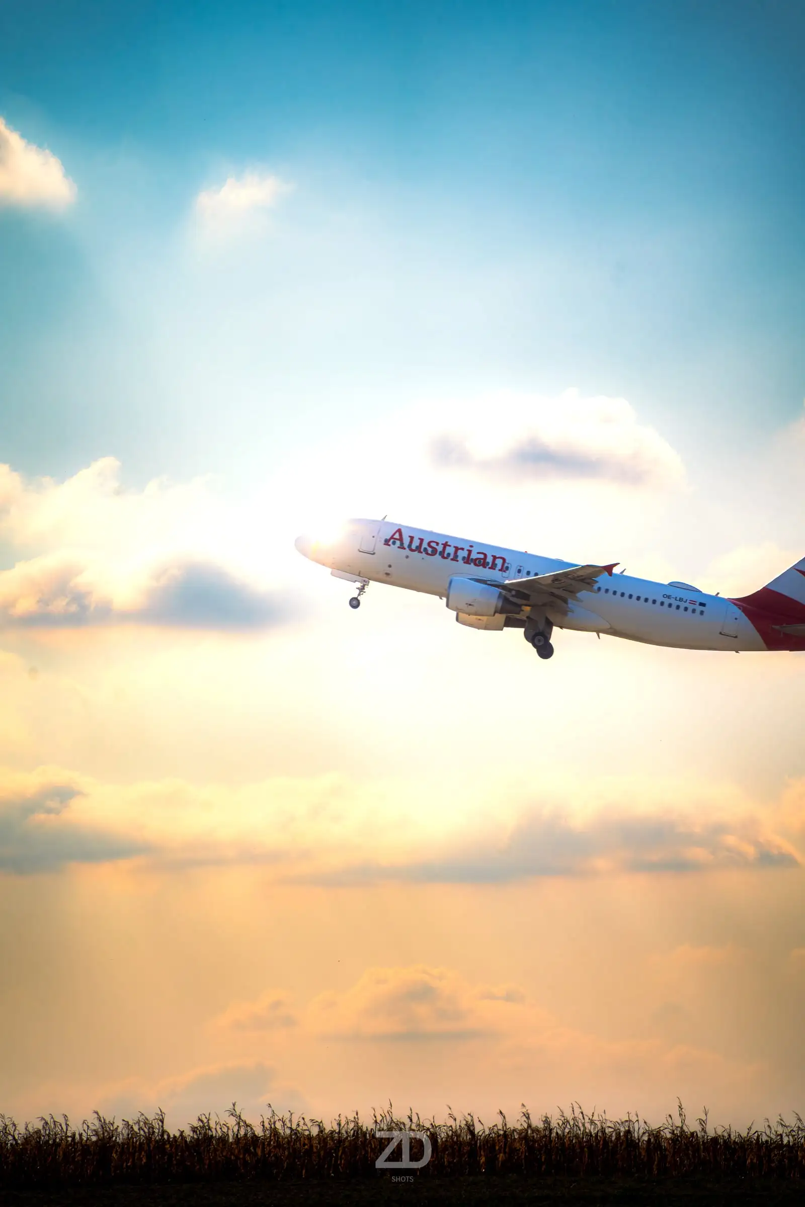 Verkehrsflugzeug im Steigflug vor goldenem Abendhimmel