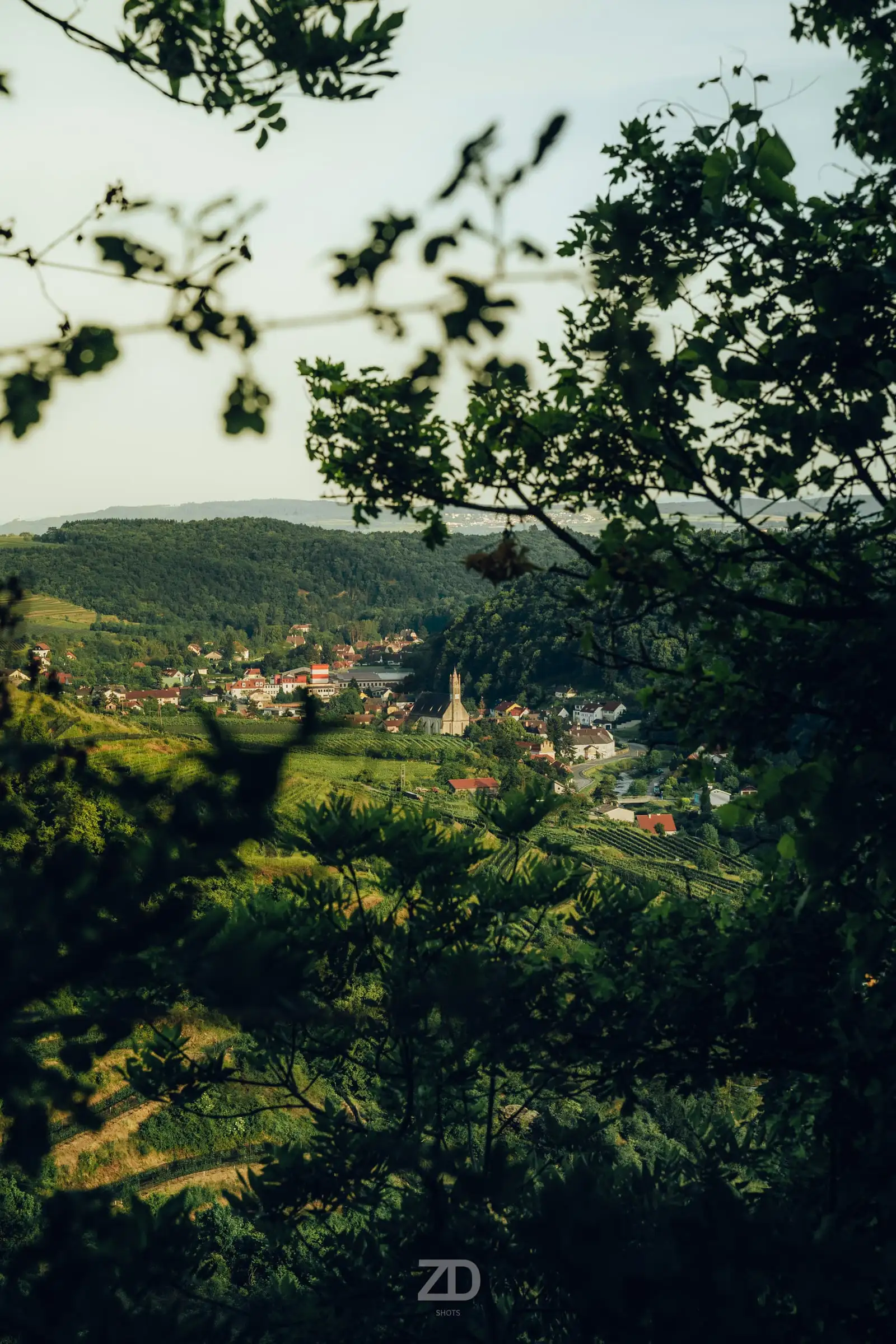 Blick durch Bäume auf ein Dorf im Tal