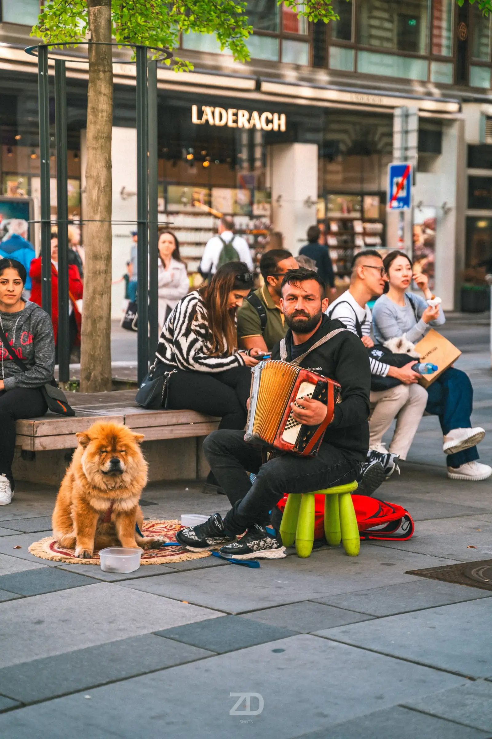 Straßenmusiker mit Akkordeon und Hund in der Fußgängerzone